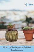 Evene Mini Çiçek Saksı Küçük Sukulent Altın Eskitme Kaktüs Saksısı Sepet Örgü Saksı Model thumbnail 3