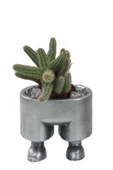 Stein Kohle Çiçek Saksısı Dekoratif Kaktüs Saksı 1 Adet Gümüş Renk Eskitme Uygulamalı Pantolon Model - 1