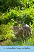 Evene Kedi Tasması Kedi Göğüs Bel Ayarlanabilir Dayanıklı Sağlam Tasma 1 cm İnce Kolon Gri - 6