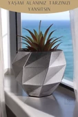 Stein Kohle Çiçek Saksısı Dekoratif Kaktüs Saksı 1 Adet Gümüş Eskitme Renk Uygulamalı Dönen Poly Model thumbnail 5