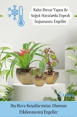 Evene Saksı Çiçek Kaktüs Saksısı Lüx 15 Cm Altın Eskitme Varak Boyalı Önü Açık Desenli 3'lü Set Çiçeklik - 7