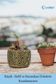 Evene Mini Çiçek Saksı Küçük Sukulent Altın Eskitme Kaktüs Saksısı Altıgen Desenli Model - 3