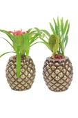 Evene Saksı Çiçek Kaktüs Saksısı Lüx 15 Cm Altın Eskitme Varak Boyalı Ananas Desenli 2'li Set Çiçeklik - 1