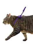 Evene Kedi Tasması Kedi Göğüs Bel Ayarlanabilir Dayanıklı Sağlam Tasma 1 cm İnce Kolon Mor - 1