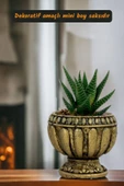 Viselia Kaktüs Saksısı Sukulent El Yapımı Saksı Balkon Çiçek Saksısı Ev Saksısı Saksı Model 17 Altın thumbnail 2