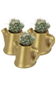 Stein Kohle Dekoratif Saksı Minik Kaktüs Saksısı Altın Renk 3 Adet Saksı Seti Mini Çaydanlık Model thumbnail 1