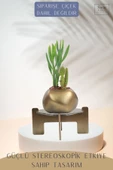 Stein Kohle Ayaklı Saksı Ahşap Büyük Boy 1 Adet Altın Renk Eskitme Uygulamalı Spiral Oval Model thumbnail 4