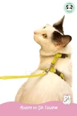 Pandogo Kedi Köpek Tasması Ayarlanabilir Bedenli Kaçış Önleyici Tasarım Sevk Kayışlı Dubai Model Sarı thumbnail 7