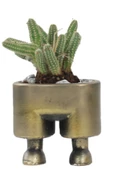Stein Kohle Çiçek Saksısı Dekoratif Kaktüs Saksı 1 Adet Altın Renk Eskitme Uygulamalı Pantolon Model - 1