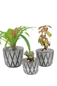 Evene Saksı Çiçek Kaktüs Saksısı Lüx 15 Cm Gümüş Eskitme Varak Boyalı Baklava Desenli 3'lü Set Çiçeklik thumbnail 1