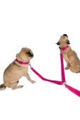 Viselia Köpek Tasması Çoklayıcı Çiftli Gezdirme Kayışı Premium Kalite Kopma Yapmaz Hafif Kolon Kumaş Pembe - 1