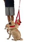 Viselia Köpek Tasması Çoklayıcı Çiftli Gezdirme Kayışı Premium Kalite Kopma Yapmaz Hafif Kolon Kumaş Kırmızı - 1