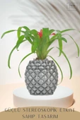 Stein Kohle Çiçek Saksısı Büyük Boy 2 Adet Gümüş Renk Eskitme Uygulamalı Ananas Model - 5