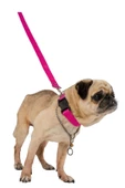 Evene Köpek Tasması Köpek Gezdirme Ayarlanabilir Boyun Tasması Pembe - 1