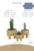 Stein Kohle Çiçek Saksısı Büyük Boy 3 Adet Altın Renk Uygulamalı Pantolon Model - 2