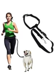 Evene Siyah Kedi Tasması Sevk Kayışlı Eller Serbest Bel Bağlamalı Yürüyüş Spor Trekking Gezdirme Tasması - 1
