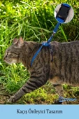 Evene Kedi Tasması Kedi Göğüs Bel Ayarlanabilir Dayanıklı Sağlam Tasma 1 cm İnce Kolon Mavi - 2