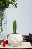 Viselia Kaktüs Saksısı Sukulent El Yapımı Saksı Balkon Çiçek Saksısı Ev Saksısı Saksı Model 1 Beyaz thumbnail 6