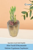 Evene Saksı Çiçek Kaktüs Saksısı Lüx 15 Cm Altın Eskitme Varak Boyalı Uzun Poly Desenli 3'lü Set Çiçeklik thumbnail 5