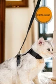 Viselia Kedi Tasması Boyun Göğüs Ayarlanabilir Sevk Kayışlı Gezdirme Seti thumbnail 2