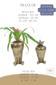 Stein Kohle Çiçek Saksısı Büyük Boy 2 Adet Altın Renk Eskitme Uygulamalı Havuç Model - 2