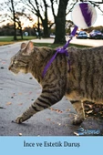 Evene Kedi Tasması Kedi Göğüs Bel Ayarlanabilir Dayanıklı Sağlam Tasma 1 cm İnce Kolon Mor - 5