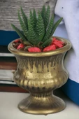Kaktüs Saksı Dünyası El Yapımı Saksı Altın Eskitme Dekoratif Saksı Küçük Boy Model 33 thumbnail 1