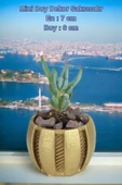 Kaktüs Saksı Dünyası El Yapımı Saksı Altın Dekoratif Saksı Küçük Boy Model 41 thumbnail 2
