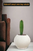 Viselia Kaktüs Saksısı Sukulent El Yapımı Saksı Balkon Çiçek Saksısı Ev Saksısı Saksı Model 1 Beyaz thumbnail 2