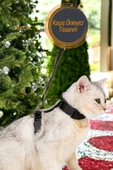 Viselia Kedi Tasması Boyun Göğüs Ayarlanabilir Sevk Kayışlı Gezdirme Seti thumbnail 5