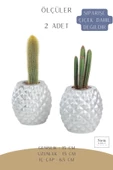 Stein Kohle Çiçek Saksısı Büyük Boy 2 Adet Gümüş Renk Uygulamalı Ananas Model thumbnail 2