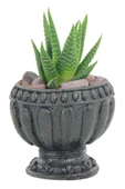 Evene Mini Çiçek Saksı Küçük Sukulent Siyah Kaktüs Saksısı Antika Model thumbnail 1