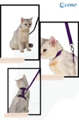 Evene Kedi Tasması Kedi Göğüs Bel Ayarlanabilir Dayanıklı Sağlam Tasma Mor thumbnail 8