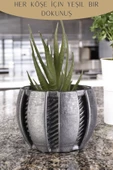 Stein Kohle Dekoratif Saksı Minik Kaktüs Saksısı Gümüş Eskitme Renk Model 41 thumbnail 4