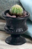 Kaktüs Saksı Dünyası El Yapımı Saksı Siyah Dekoratif Saksı Küçük Boy Model 33 thumbnail 1