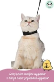 Pandogo Kedi Gezdirme Tasması Sevk Kayışlı Siyah thumbnail 3