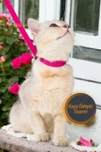 Viselia Kedi Tasması Boyun Göğüs Ayarlanabilir Sevk Kayışlı Gezdirme Seti - 5
