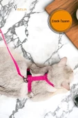 Viselia Kedi Tasması Boyun Göğüs Ayarlanabilir Sevk Kayışlı Gezdirme Seti - 2