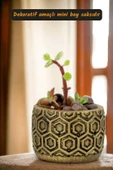 Viselia Kaktüs Saksısı Sukulent El Yapımı Saksı Balkon Çiçek Saksısı Ev Saksısı Saksı Model 2 Altın thumbnail 2