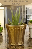 Stein Kohle Dekoratif Saksı Minik Kaktüs Saksısı Altın Eskitme Renk Model 40 thumbnail 4