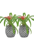 Evene Saksı Çiçek Kaktüs Saksısı Lüx 15 Cm Gümüş Eskitme Varak Boyalı Ananas Desenli 2'li Set Çiçeklik - 1