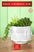 tambana Dekoratif Sukulent Saksısı Küçük Mini Beton Saksı Beyaz Model 29 thumbnail 3