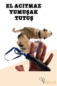 Viselia Köpek Tasması Çoklayıcı Çiftli Gezdirme Kayışı Premium Kalite Kopma Yapmaz Hafif Kolon Kumaş Mavi - 4