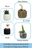 Evene Mini Çiçek Saksı Küçük Sukulent Altın Eskitme Kaktüs Saksısı Altıgen Desenli Model - 7