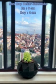 Kaktüs Saksı Dünyası El Yapımı Saksı Siyah Dekoratif Saksı Küçük Boy Model 8 - 2