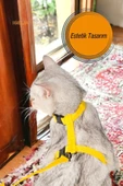 Viselia Kedi Tasması Boyun Göğüs Ayarlanabilir Sevk Kayışlı Gezdirme Seti - 2