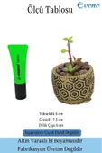 Evene Mini Çiçek Saksı Küçük Sukulent Altın Eskitme Kaktüs Saksısı Altıgen Desenli Model - 2
