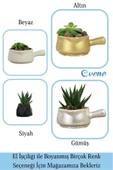 Evene Mini Çiçek Saksı Küçük Sukulent Altın Kaktüs Saksısı 3'lü Set Mini Tava Model thumbnail 7