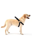 Evene Köpek Tasması Köpek Gögüs Boyun Ayarlanabilir Fonksiyonel Evcil Hayvan Tasma Siyah - 1