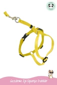 Pandogo Kedi Köpek Tasması Ayarlanabilir Bedenli Kaçış Önleyici Tasarım Sevk Kayışlı Dubai Model Sarı thumbnail 5